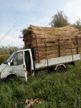 maricsnad-maricsnadkft-nadteto-kivitelezes-keszites_0107