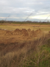 maricsnad-maricsnadkft-nadteto-kivitelezes-keszites_0120