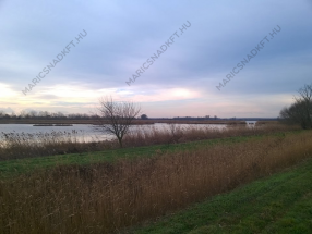 maricsnad-maricsnadkft-nadteto-kivitelezes-keszites_0123