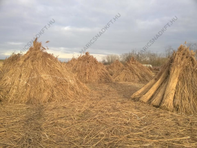 maricsnad-maricsnadkft-nadteto-kivitelezes-keszites_0124
